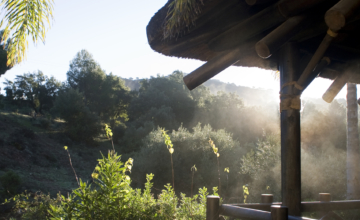 Yoga onder de Spaanse zon als burn-out therapie