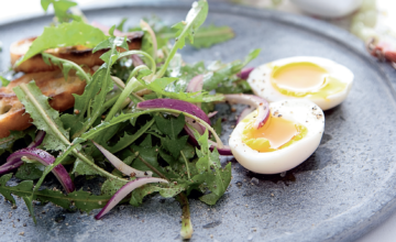 Simpele salade met paardenbloemblaadjes