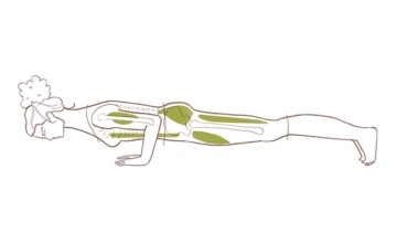 Haat-liefde verhouding met Chaturanga Dandasana