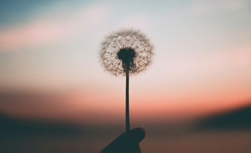 Mindfulness op school: werkt het wel of niet?