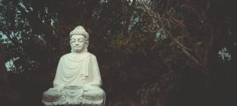 Download gratis: metta-meditatie guide