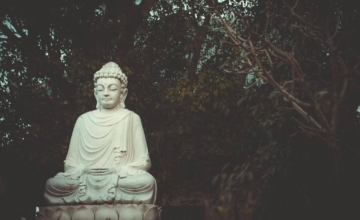 Download gratis: metta-meditatie guide