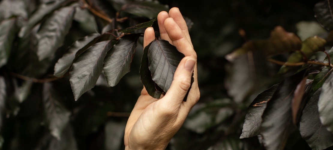 Het bosbad: veel meer dan een gewone wandeling