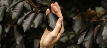 Het bosbad: veel meer dan een gewone wandeling