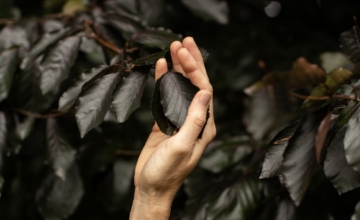 Het bosbad: veel meer dan een gewone wandeling
