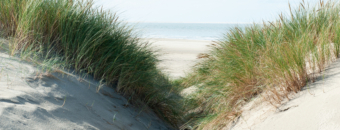 Yoga en Ayurverda op Texel