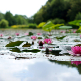 Oproep: hoe heeft corona je spirituele groei beïnvloed?