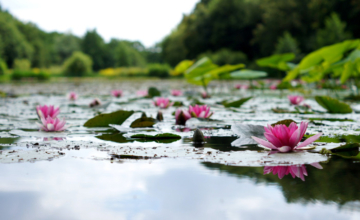 Oproep: hoe heeft corona je spirituele groei beïnvloed?