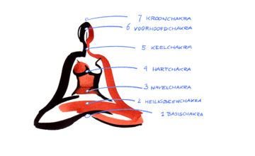De 7 chakra’s: dit moet je erover weten