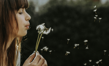 Gratis Minitraining Manifesteren met de 7 spirituele wetten van succes